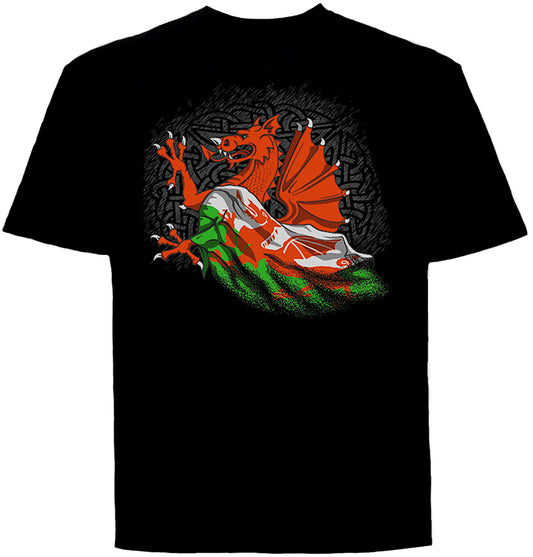 0100 - Dragon Fade (Black)