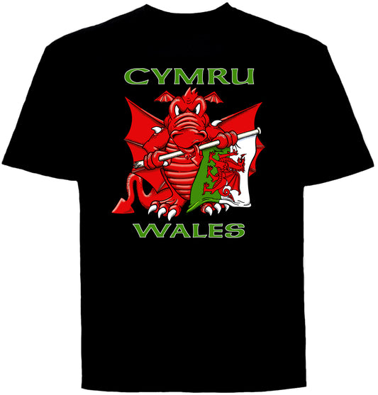 0102 - Dragon Flag (Black)