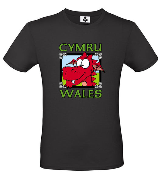 0131 - Dragon Pic (Black)