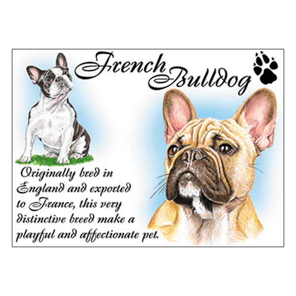 0531 - French Bulldog