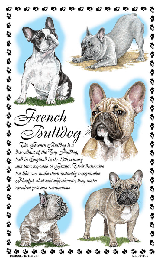 0379 - French Bulldog Tea Towel