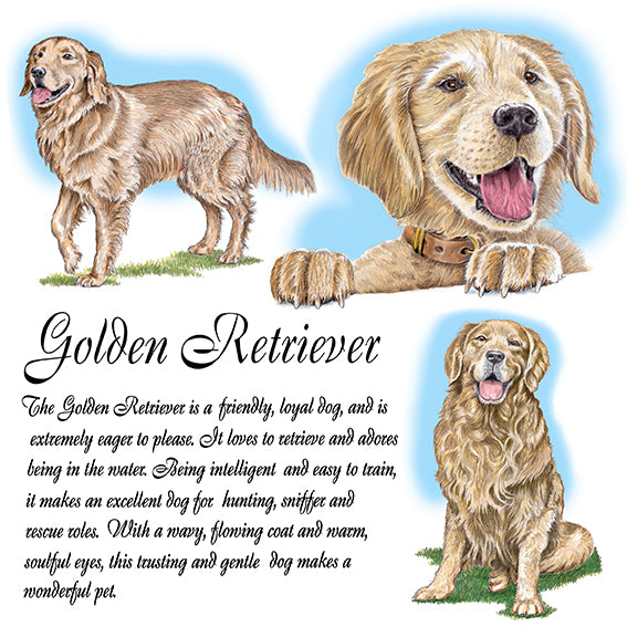 Golden Retriever Coaster