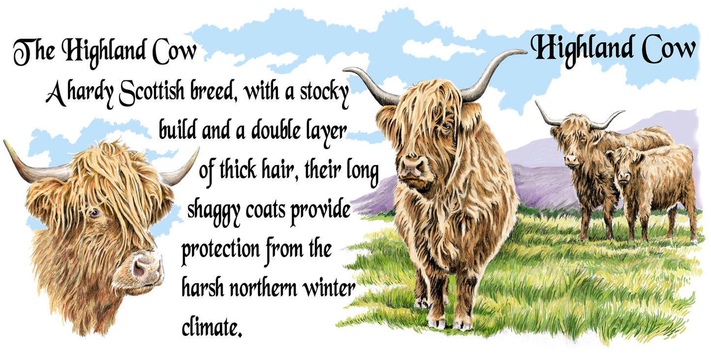0780 - Highland Cow