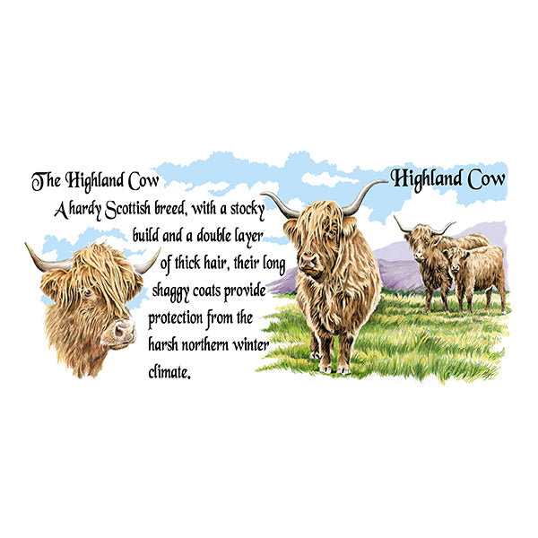 0780 - Highland Cow