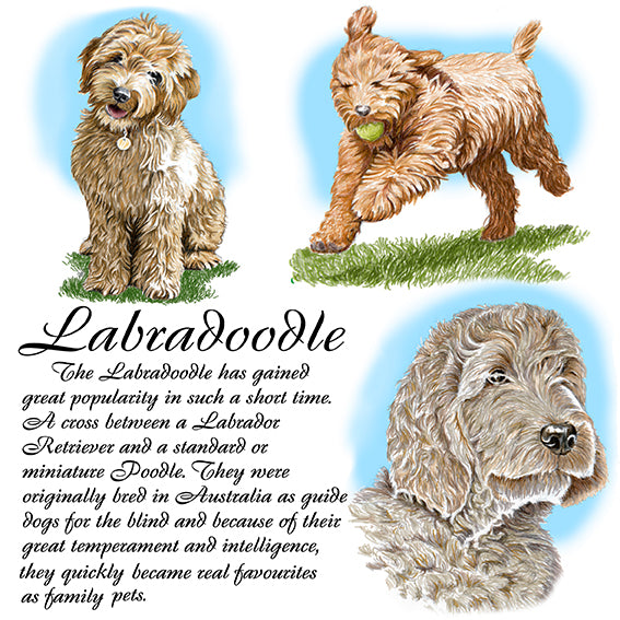 Labradoodle Coaster