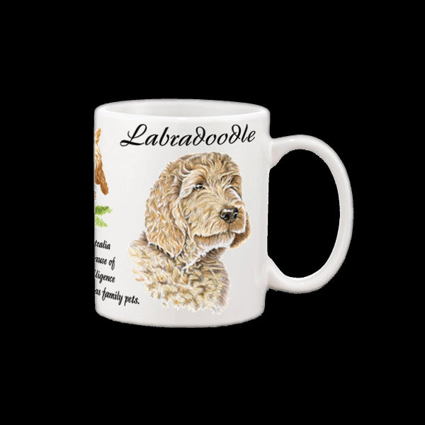 0448 - Labradoodle