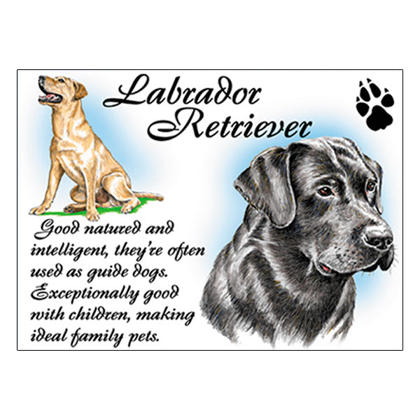 0536 - Labrador Retriever