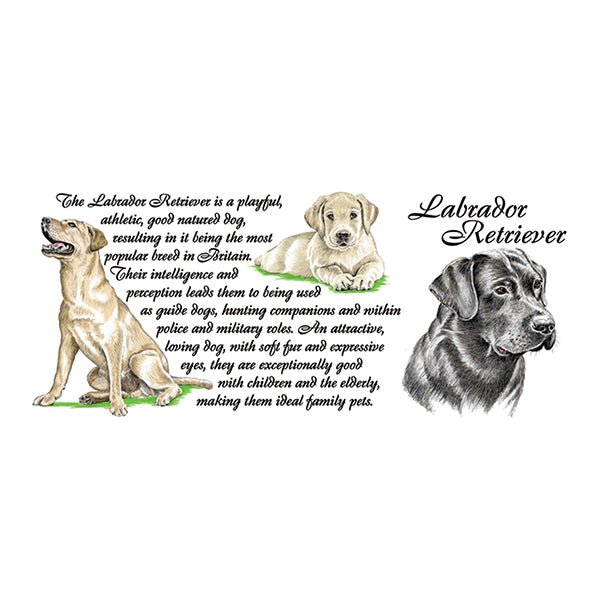 0449 - Labrador Retreiver