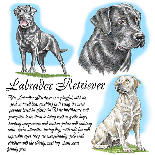 Labrador Retriever Coaster