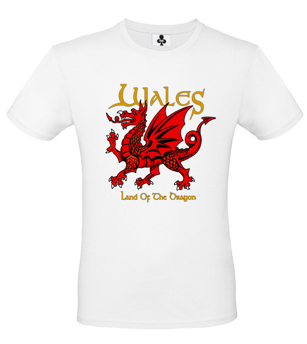 0101 - Land of the Dragon (Black)