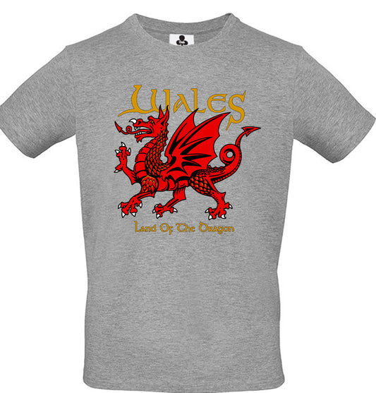 0101 - Land of the Dragon (Grey)