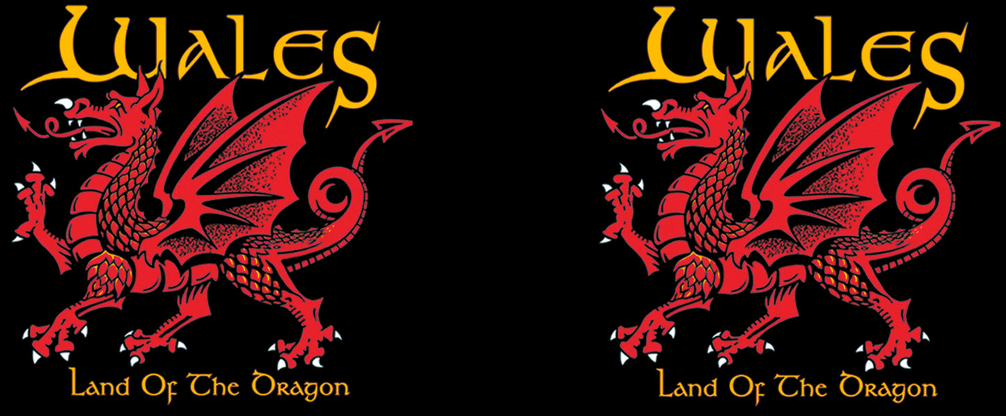 0410 - Land of the Dragon (Black)