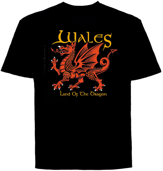 0101 - Land of the Dragon (Black)