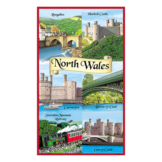 0358 - North Wales Multi Tea Towel