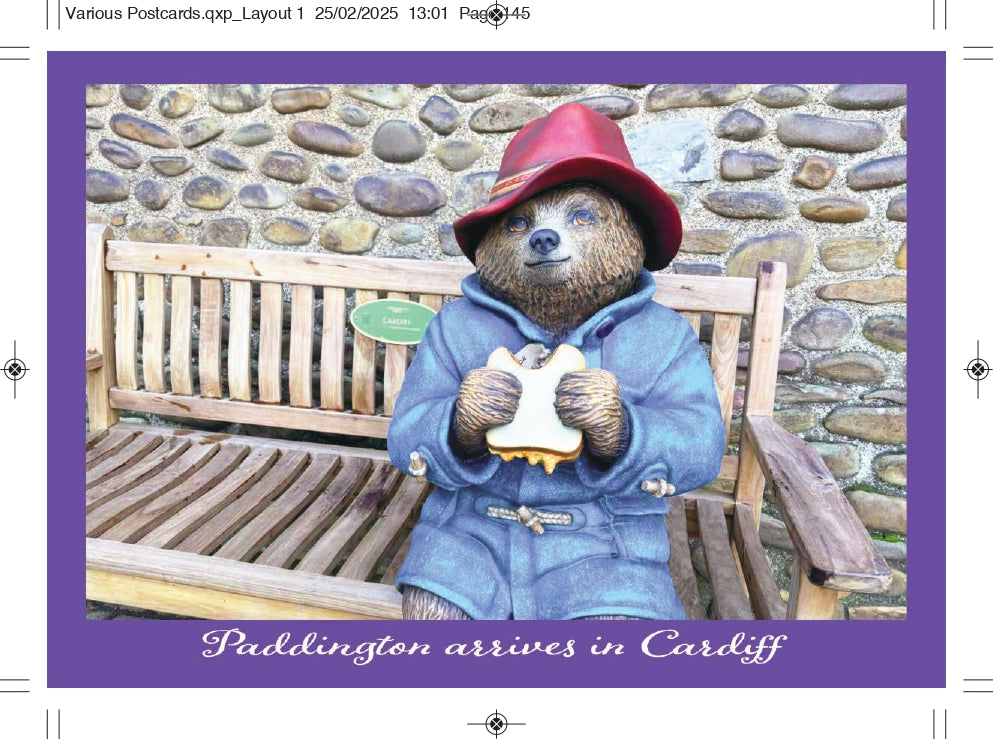 0300 - CC Paddington Bear Cardiff