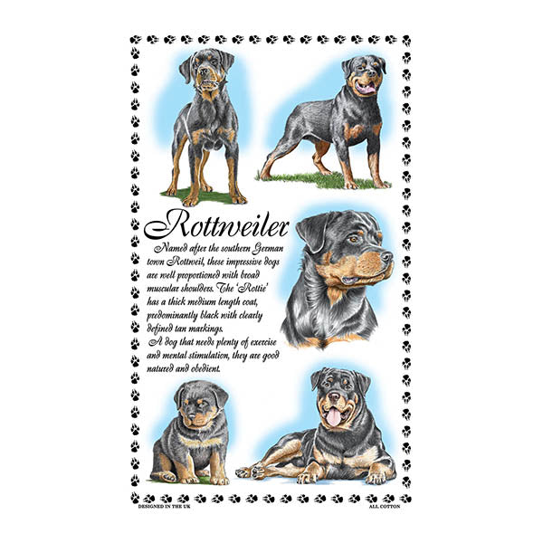 0386 - Rottweiler Tea Towel