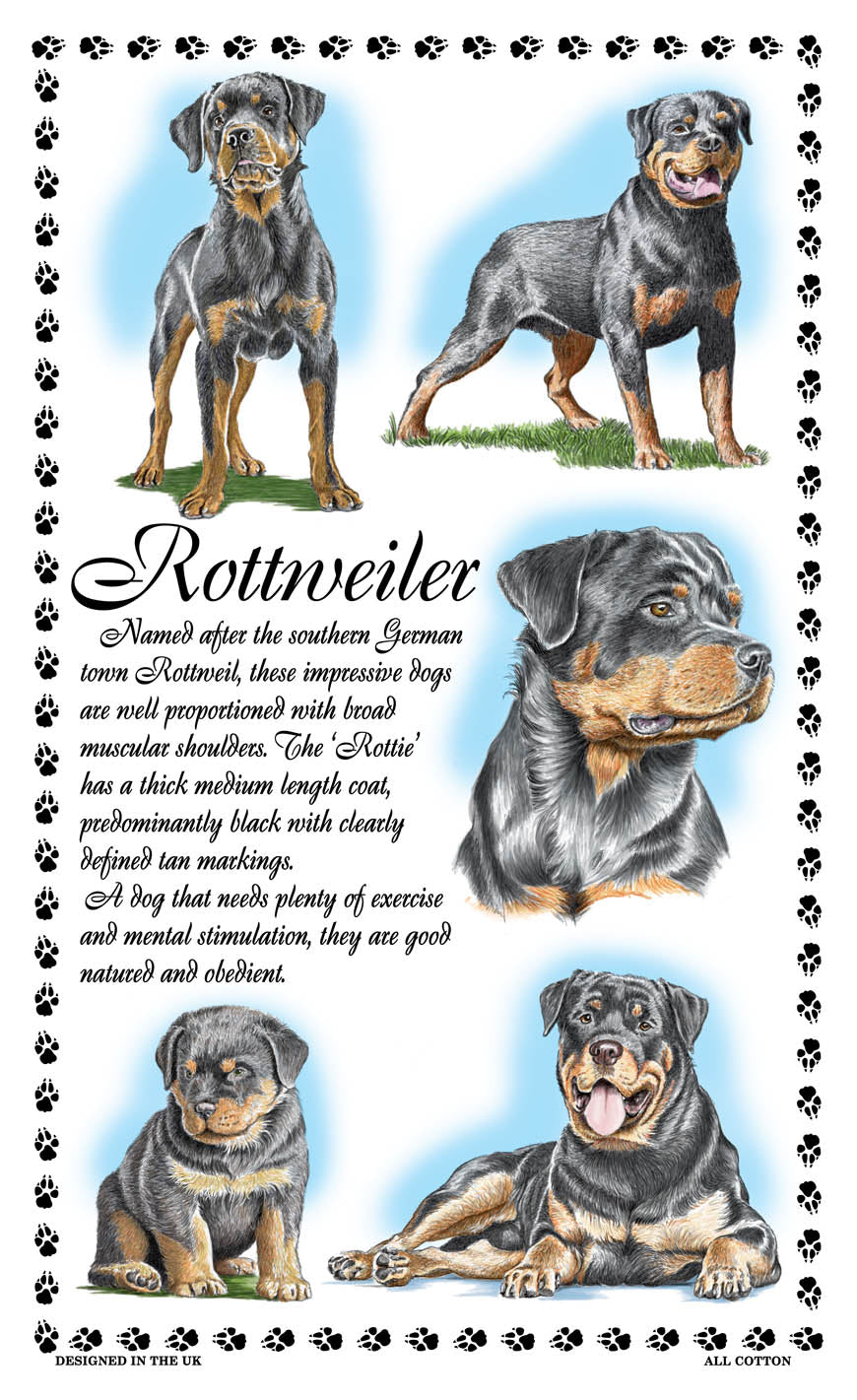 0386 - Rottweiler Tea Towel