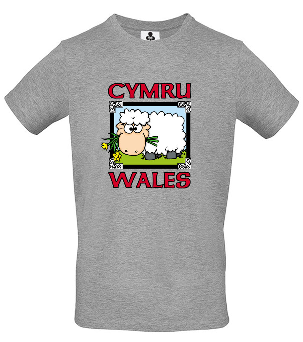 0132 - Sheep Pic (Grey)