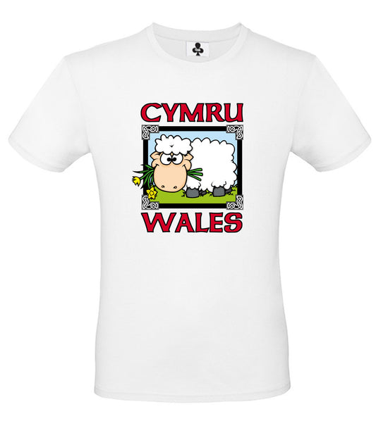 0132 - Sheep Pic (White)