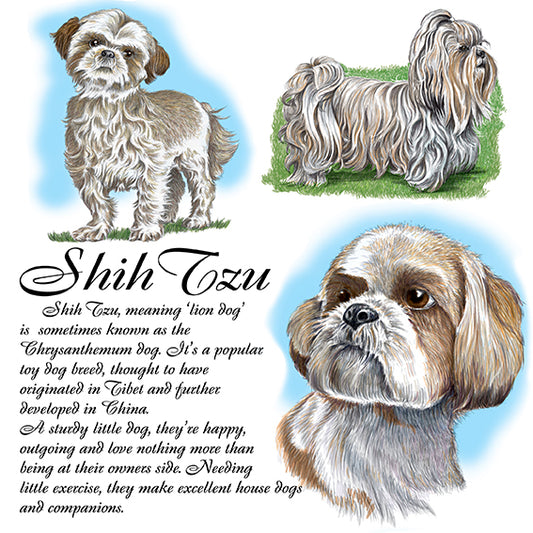 Shih Tzu Coaster