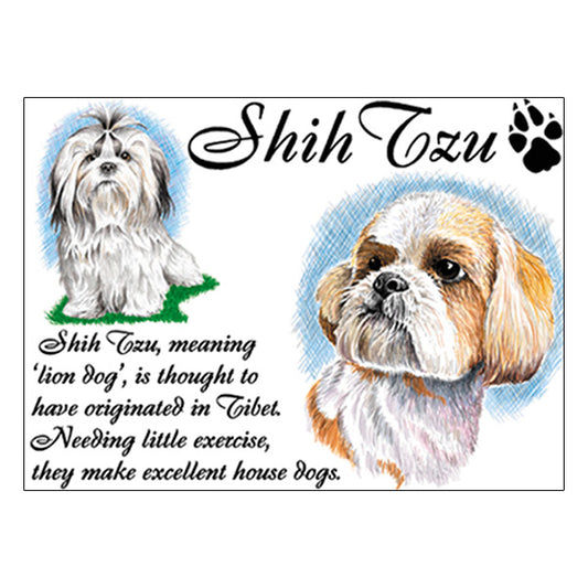 0539 - Shih Tzu