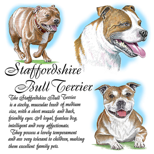 Staffordshire Bull Terrier Coaster