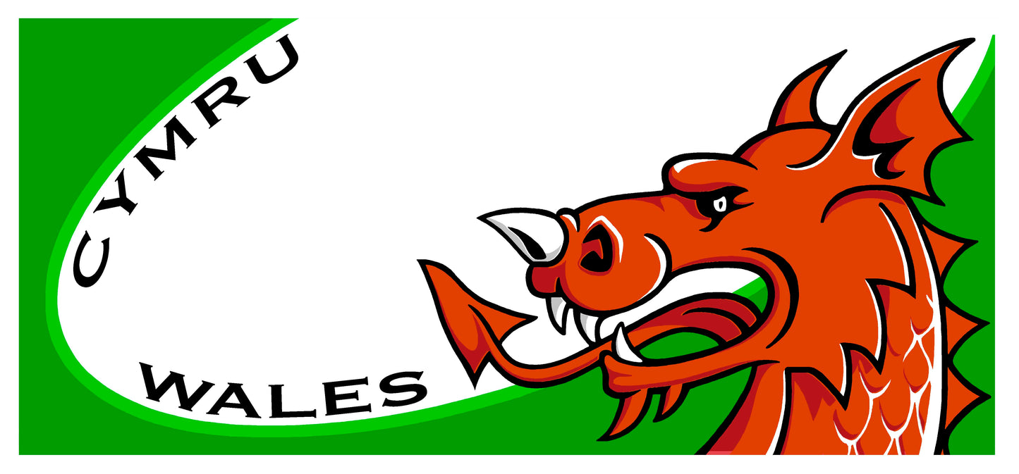 0408 - Wales Dragon Head