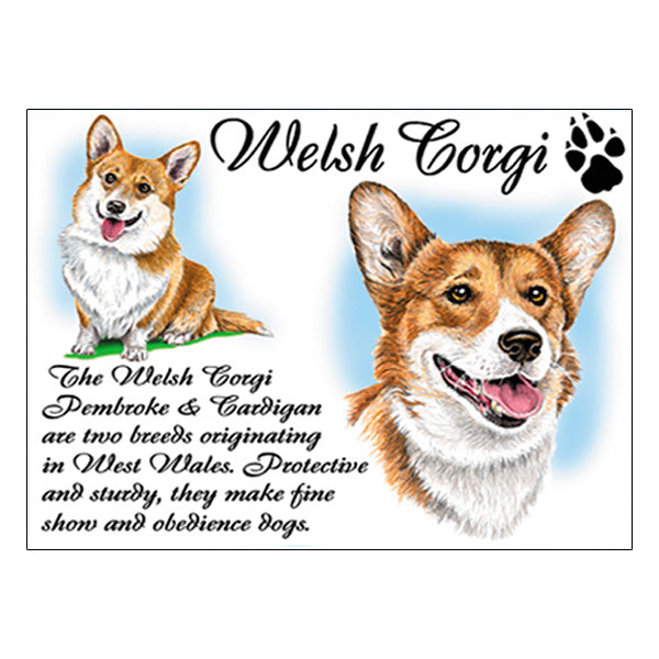 0541 - Welsh Corgi