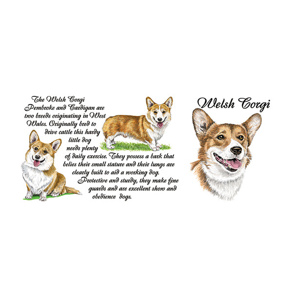 0454 - Welsh Corgi