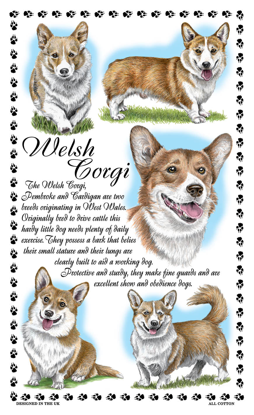 0389 - Welsh Corgi Tea Towel