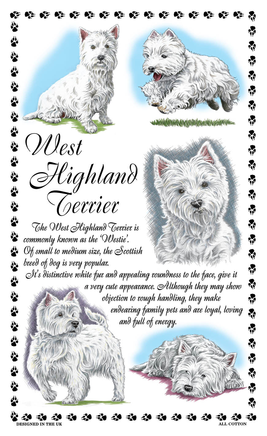 0390 - West Highland Terrier Tea Towel