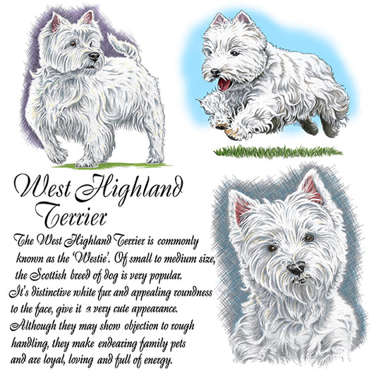West Highland Terrier Coaster