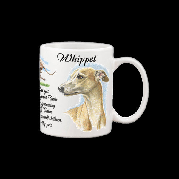 0456 - Whippet