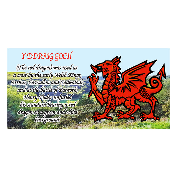0763 - Y Ddraig Goch