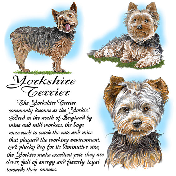 Yorkshire Terrier Coaster