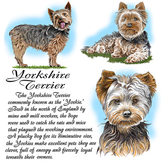 Yorkshire Terrier Coaster