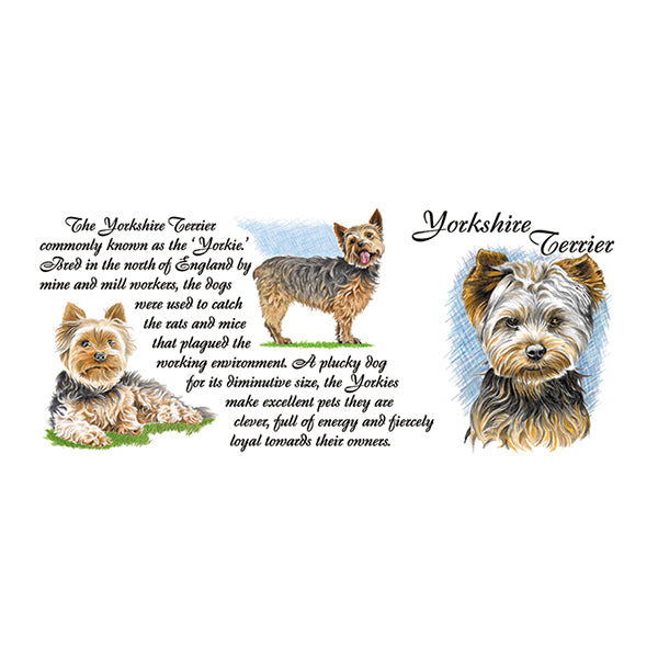 0457 - Yorkshire Terrier