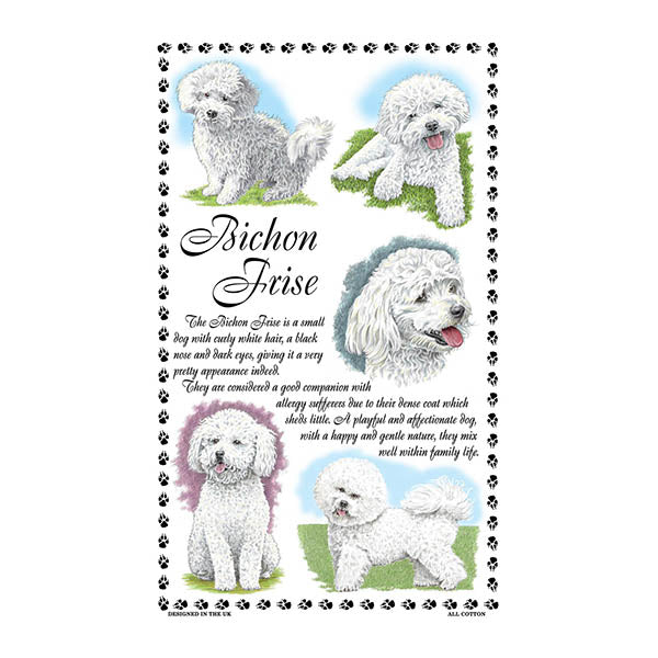 0370 - Bichon Frise Tea Towel