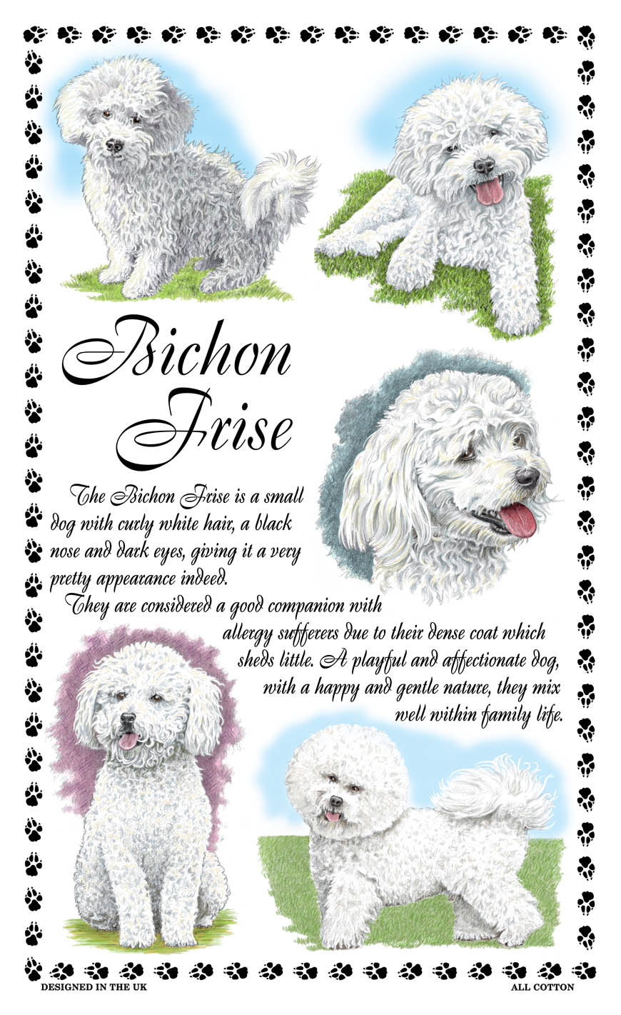 0370 - Bichon Frise Tea Towel