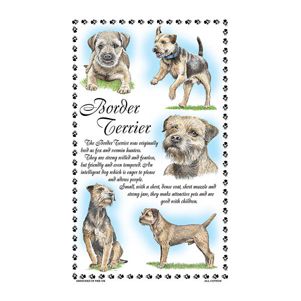 0372 - Border Terrier Tea Towel