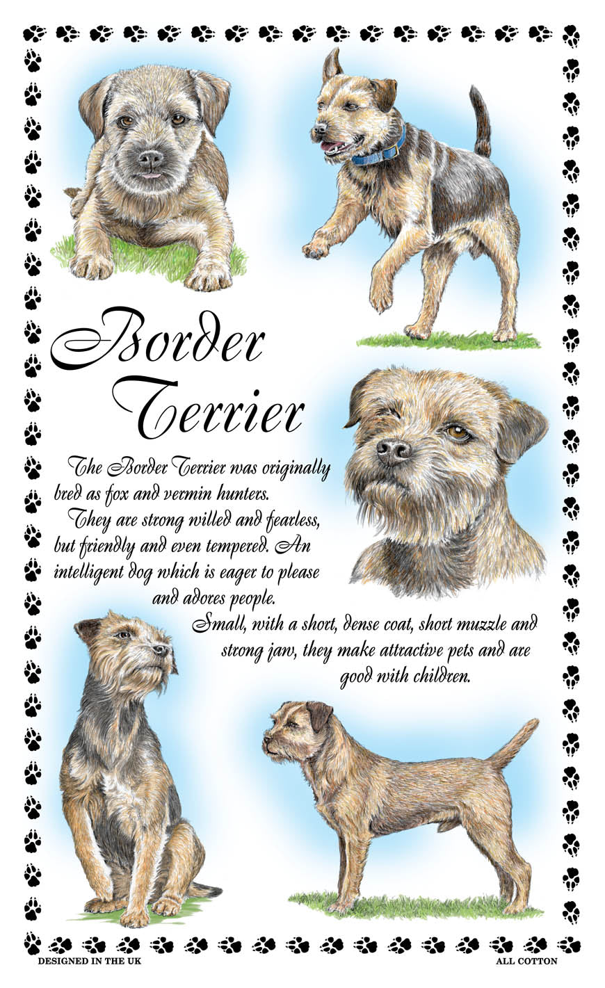 0372 - Border Terrier Tea Towel