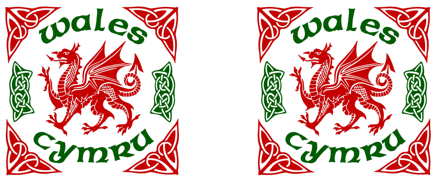 0415 - Celtic Dragon White
