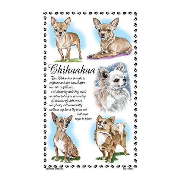 0374 - Chihuahua Tea Towel