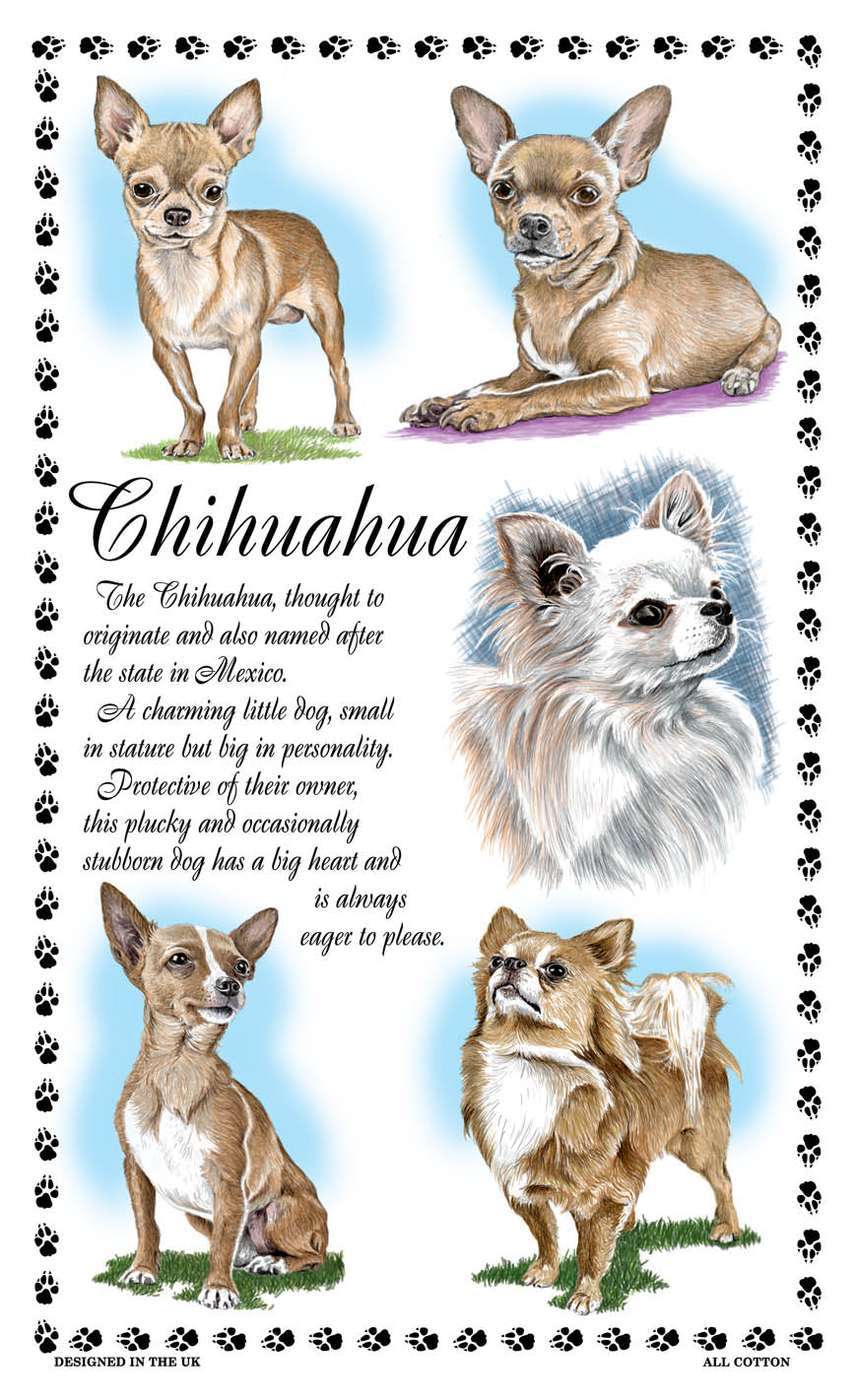0374 - Chihuahua Tea Towel