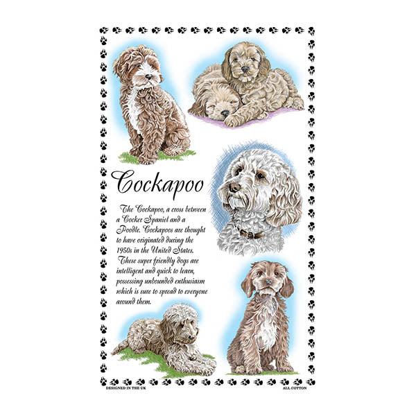 0375 - Cockapoo Tea Towel