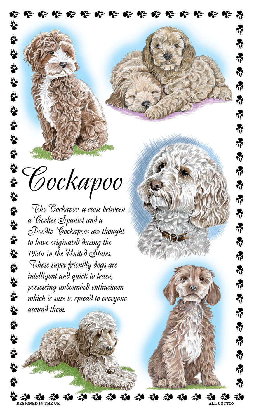 0375 - Cockapoo Tea Towel