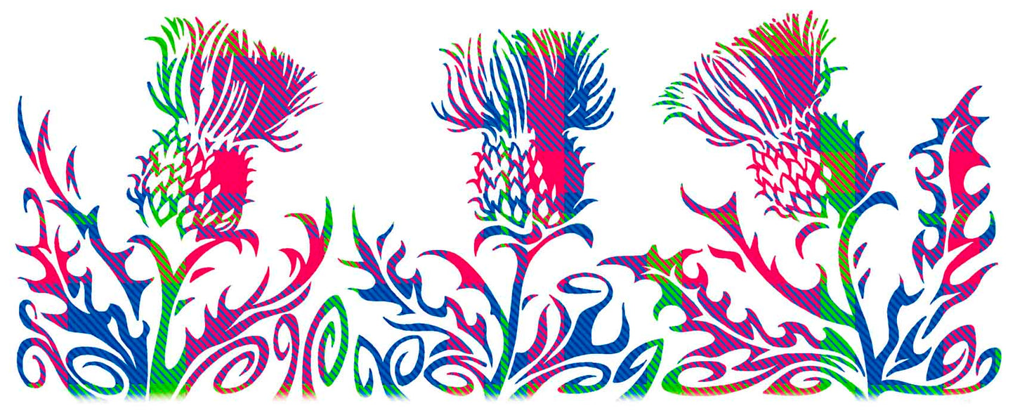 0480 - Funky Thistle