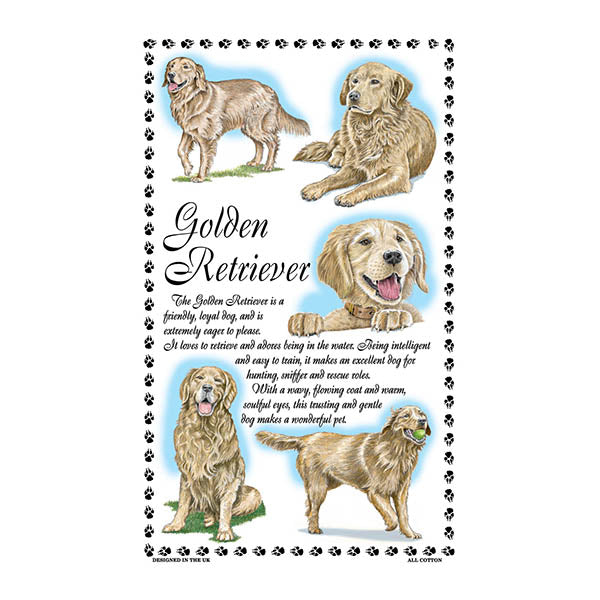 0381 - Golden Retriever Tea Towel