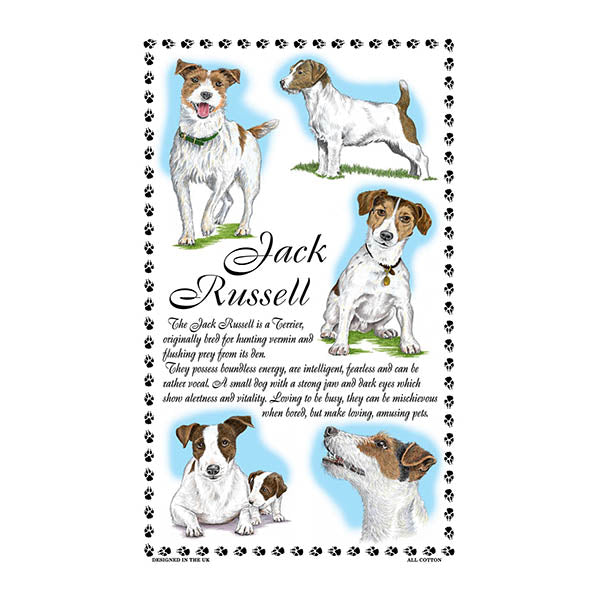 0382 - Jack Russell Tea Towel