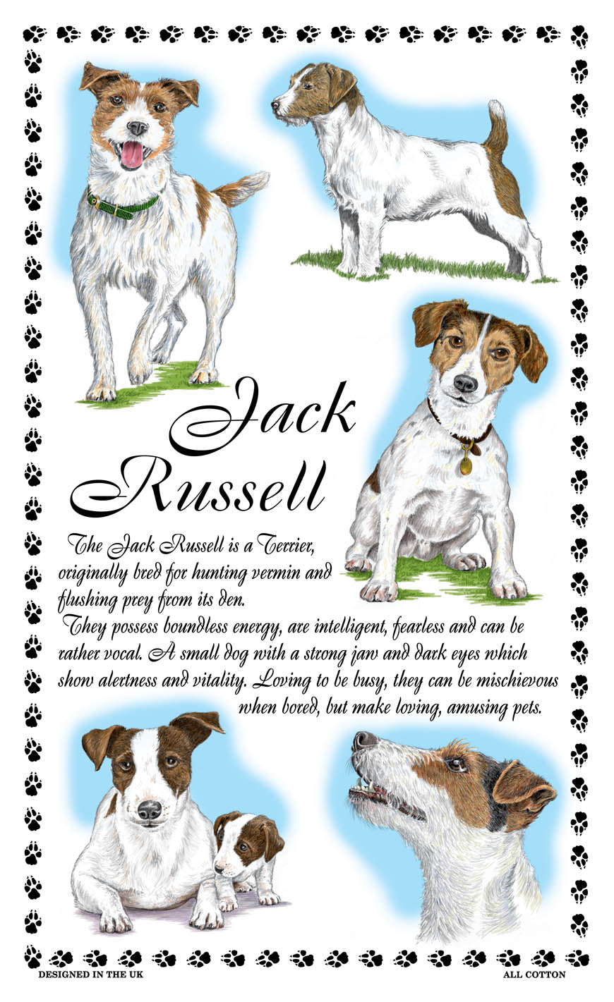 0382 - Jack Russell Tea Towel